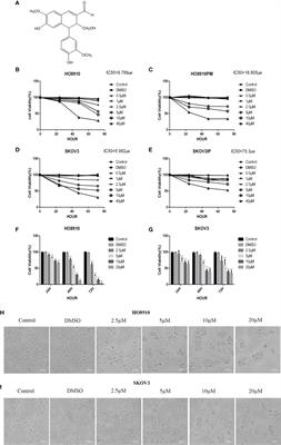 Purified Vitexin Compound 1 Serves as a Promising Antineoplastic Agent in Ovarian Cancer